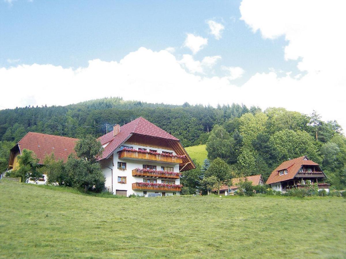 Geigerbauernhof Apartment Muehlenbach Bagian luar foto