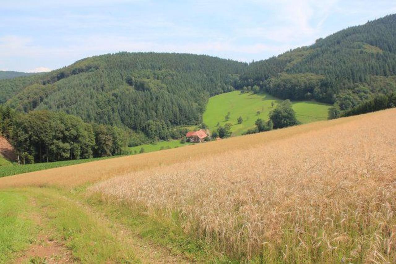 Geigerbauernhof Apartment Muehlenbach Bagian luar foto