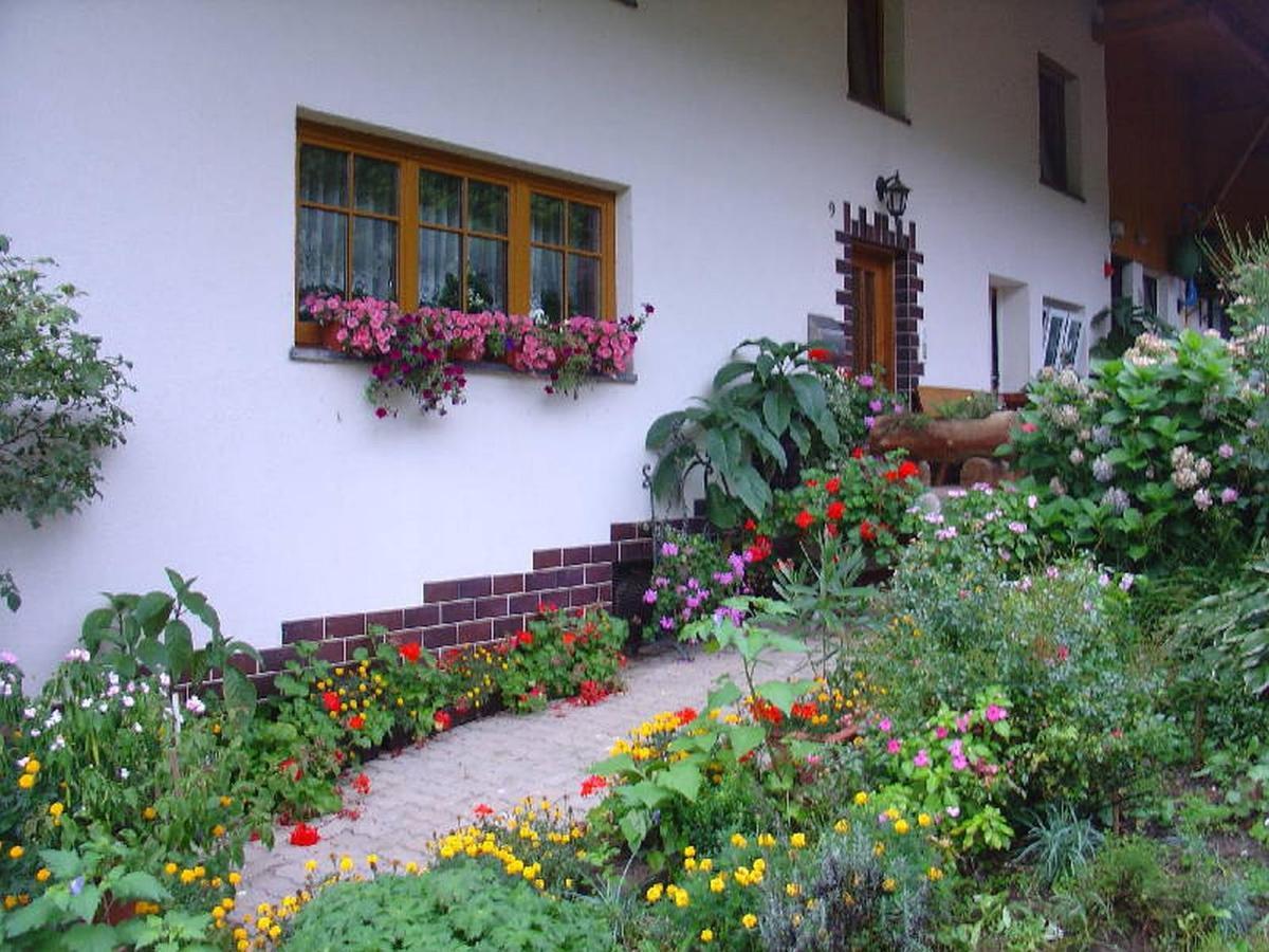 Geigerbauernhof Apartment Muehlenbach Bagian luar foto